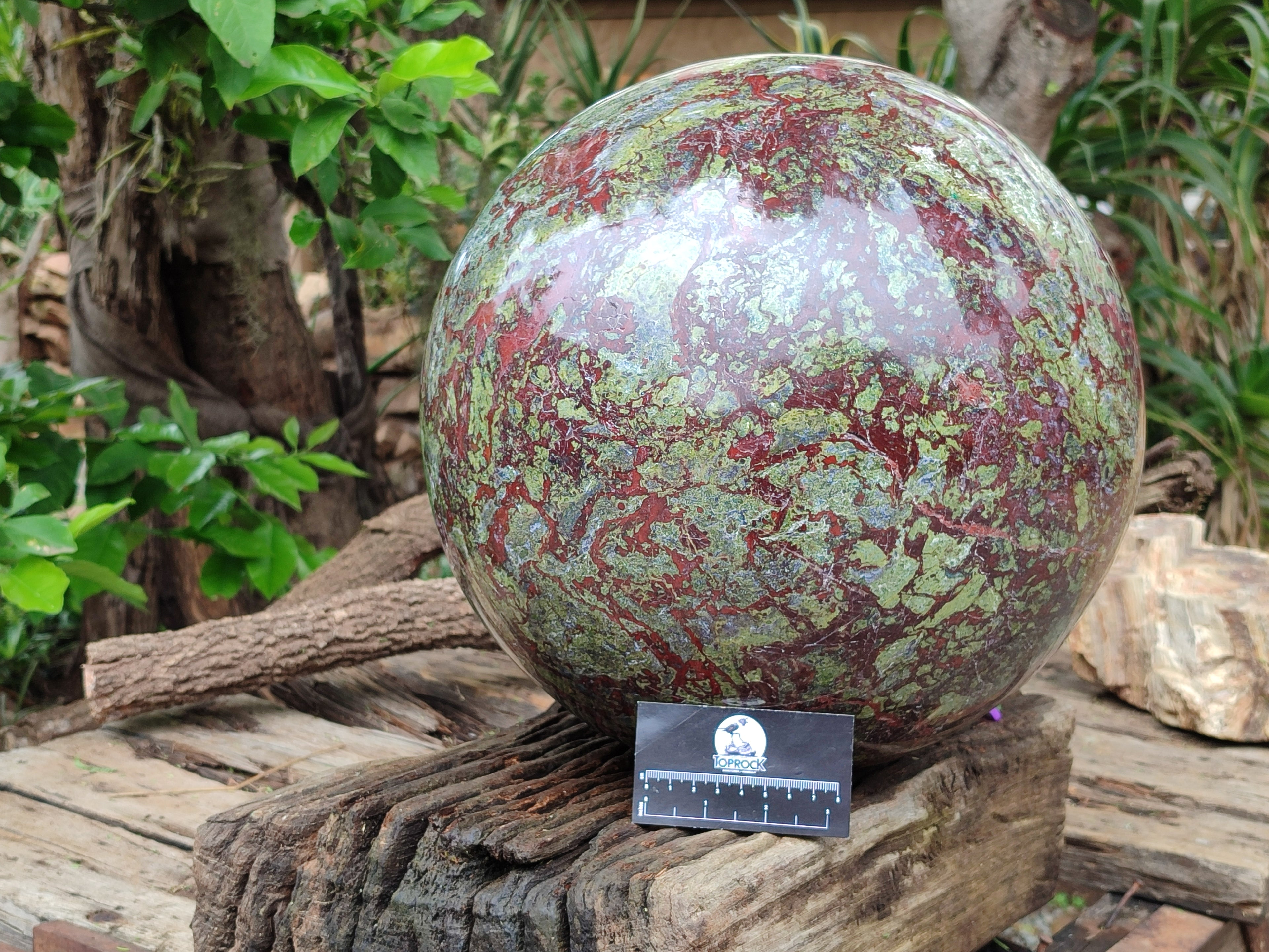 Polished Extra Large Bastite Dragons Blood Stone Sphere-Ball x 1 From Tshipise, South Africa - Toprock Gemstones and Minerals 