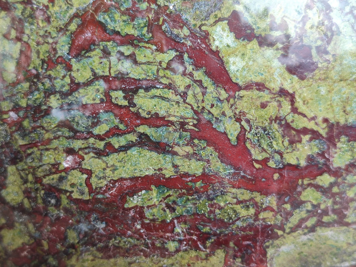 Polished Extra Large Bastite Dragons Blood Stone Sphere-Ball x 1 From Tshipise, South Africa - Toprock Gemstones and Minerals 