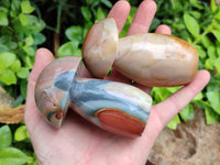 Polished Polychrome Jasper Mushrooms x 4 From Mahajanga, Madagascar - Toprock Gemstones and Minerals 