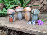 Polished Polychrome Jasper Mushrooms x 4 From Mahajanga, Madagascar - Toprock Gemstones and Minerals 