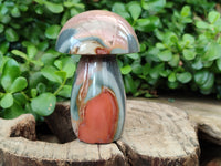 Polished Polychrome Jasper Mushrooms x 4 From Mahajanga, Madagascar - Toprock Gemstones and Minerals 