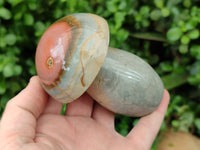 Polished Polychrome Jasper Mushrooms x 4 From Mahajanga, Madagascar - Toprock Gemstones and Minerals 