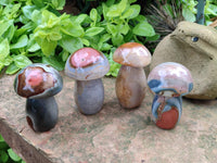 Polished Polychrome Jasper Mushrooms x 4 From Mahajanga, Madagascar - Toprock Gemstones and Minerals 