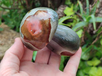 Polished Polychrome Jasper Mushrooms x 4 From Mahajanga, Madagascar - Toprock Gemstones and Minerals 