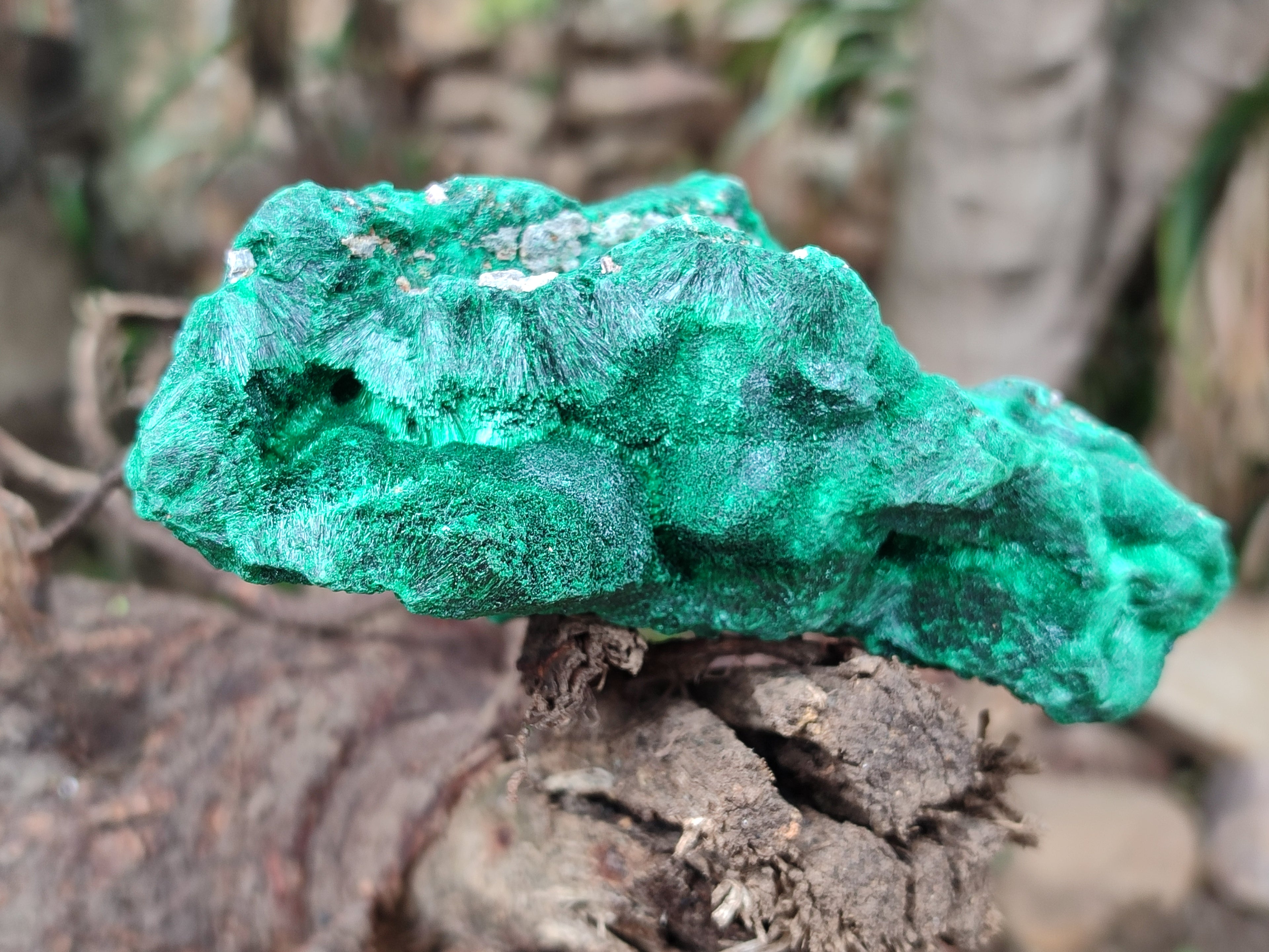 Natural Silky Malachite Specimens x 3 From Kasompe, Congo - Toprock Gemstones and Minerals 