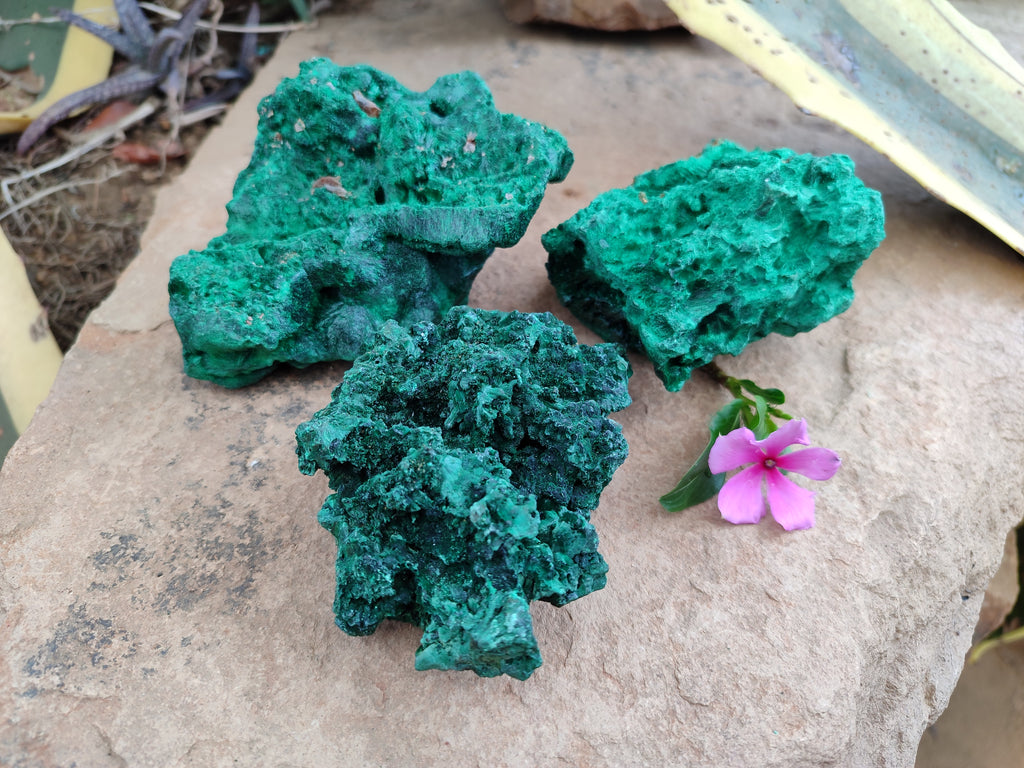 Natural Silky Malachite Specimens x 3 From Kasompe, Congo - Toprock Gemstones and Minerals 