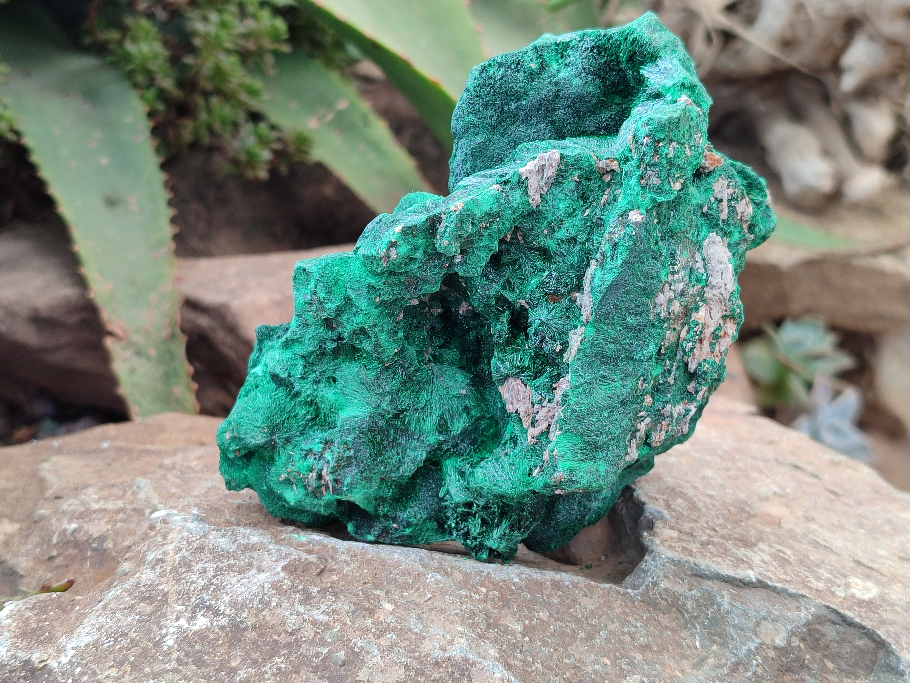 Natural Silky Malachite Specimens x 3 From Kasompe, Congo - Toprock Gemstones and Minerals 