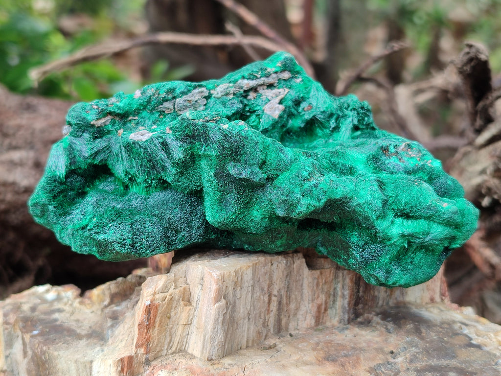 Natural Silky Malachite Specimens x 3 From Kasompe, Congo - Toprock Gemstones and Minerals 