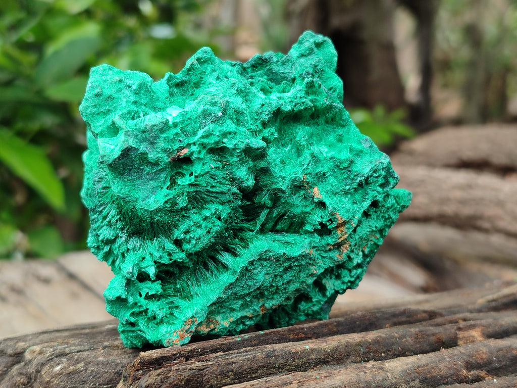 Natural Silky Malachite Specimens x 3 From Kasompe, Congo - Toprock Gemstones and Minerals 