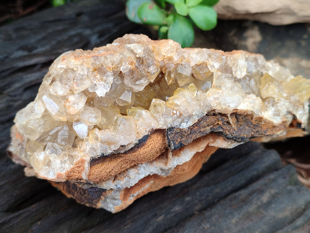 Natural Limonite Quartz Clusters x 4 From Mwinilunga, Zambia - Toprock Gemstones and Minerals 