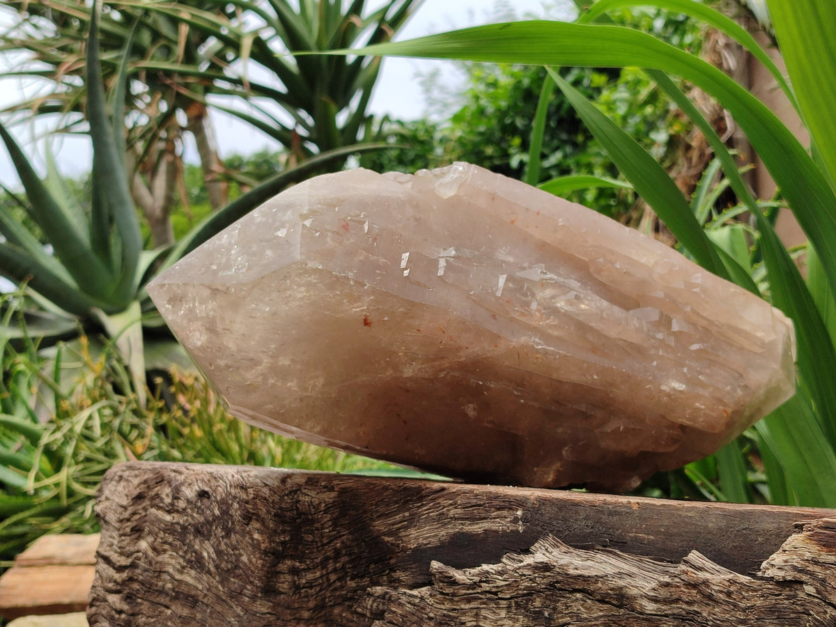 Polished Partially Double Terminated Smokey Arcadian Quartz Crystal x 1 From Angola - Toprock Gemstones and Minerals 