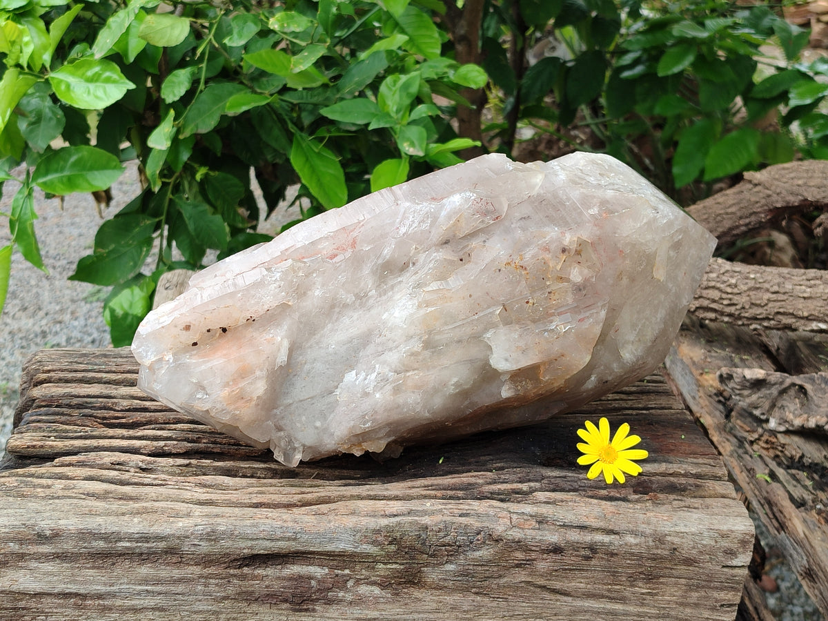 Polished Partially Double Terminated Smokey Arcadian Quartz Crystal x 1 From Angola - Toprock Gemstones and Minerals 