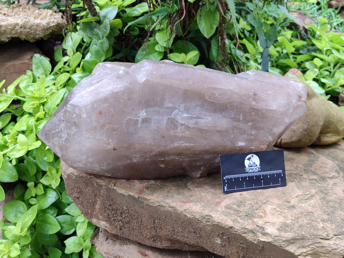 Polished Partially Double Terminated Smokey Arcadian Quartz Crystal x 1 From Angola - Toprock Gemstones and Minerals 