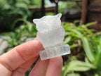 Polished Mini Rainbow Fluorite Owl Carvings - sold per item - From Uis, Namibia - Toprock Gemstones and Minerals 