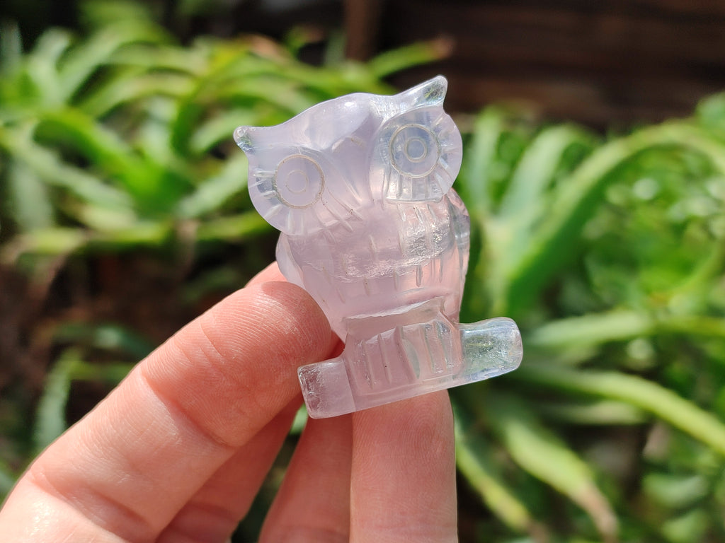 Polished Mini Rainbow Fluorite Owl Carvings - sold per item - From Uis, Namibia - Toprock Gemstones and Minerals 