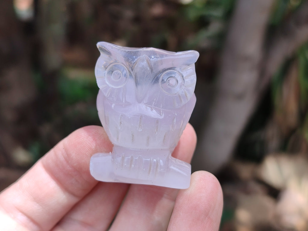 Polished Mini Rainbow Fluorite Owl Carvings - sold per item - From Uis, Namibia - Toprock Gemstones and Minerals 