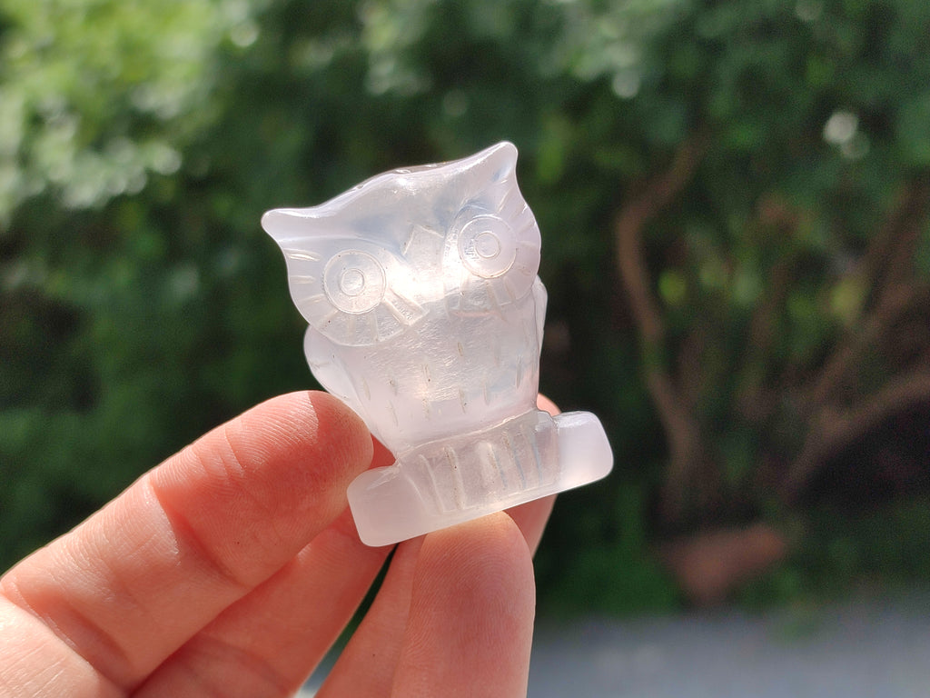 Polished Mini Rainbow Fluorite Owl Carvings - sold per item - From Uis, Namibia - Toprock Gemstones and Minerals 