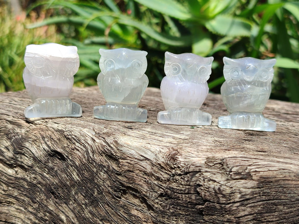 Polished Mini Rainbow Fluorite Owl Carvings - sold per item - From Uis, Namibia - Toprock Gemstones and Minerals 