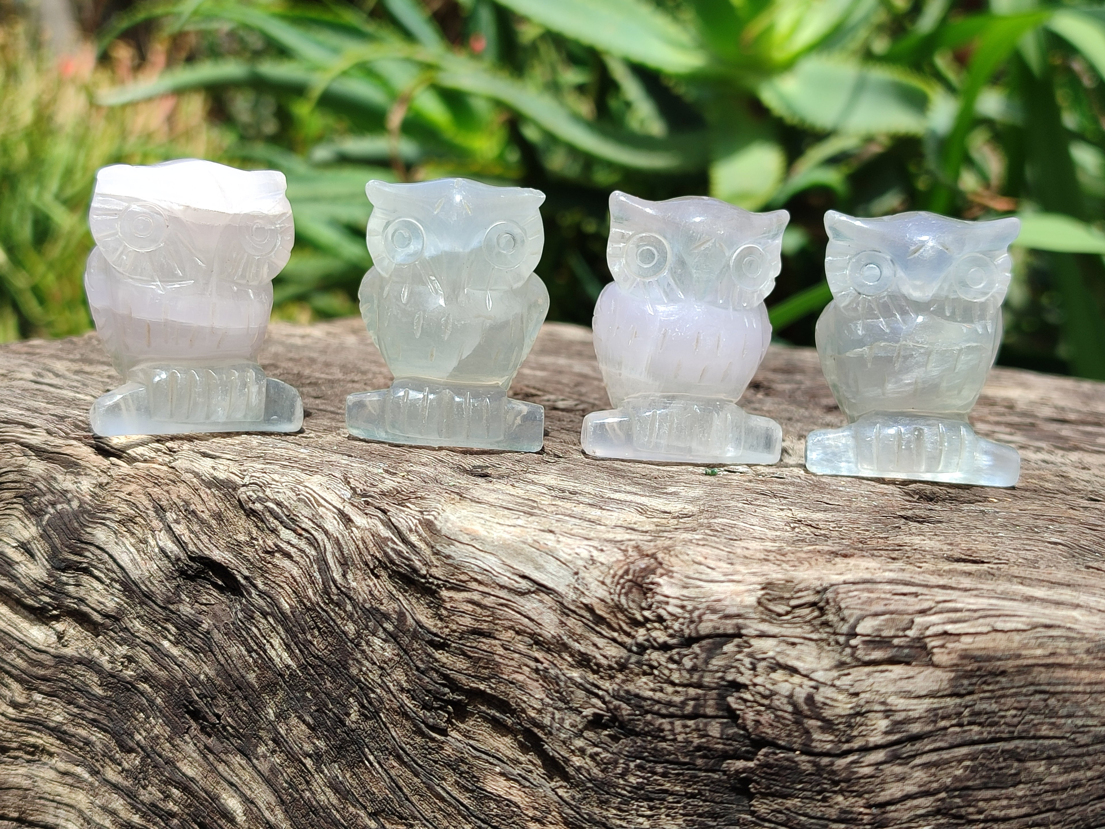Polished Mini Rainbow Fluorite Owl Carvings - sold per item - From Uis, Namibia - Toprock Gemstones and Minerals 
