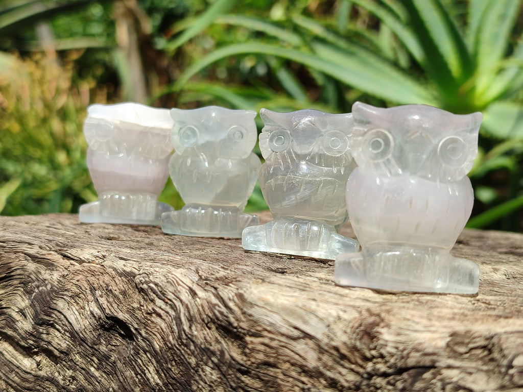 Polished Mini Rainbow Fluorite Owl Carvings - sold per item - From Uis, Namibia - Toprock Gemstones and Minerals 