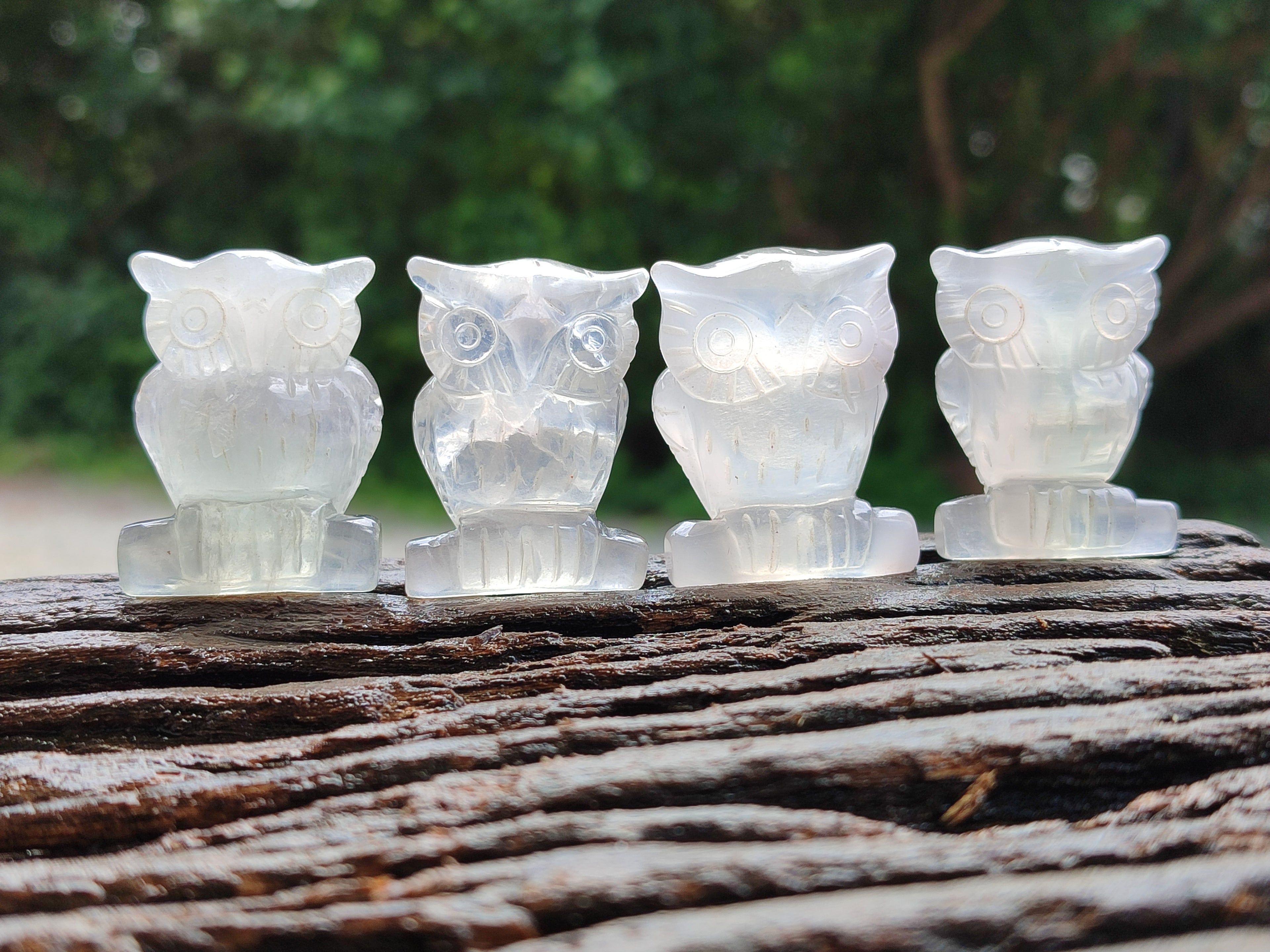 Polished Mini Rainbow Fluorite Owl Carvings - sold per item - From Uis, Namibia - Toprock Gemstones and Minerals 