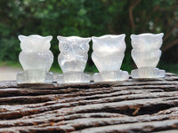 Polished Mini Rainbow Fluorite Owl Carvings - sold per item - From Uis, Namibia - Toprock Gemstones and Minerals 