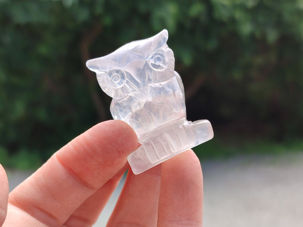 Polished Mini Rainbow Fluorite Owl Carvings - sold per item - From Uis, Namibia - Toprock Gemstones and Minerals 