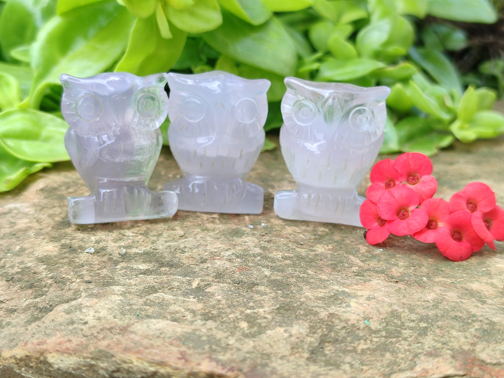 Polished Mini Rainbow Fluorite Owl Carvings - sold per item - From Uis, Namibia - Toprock Gemstones and Minerals 