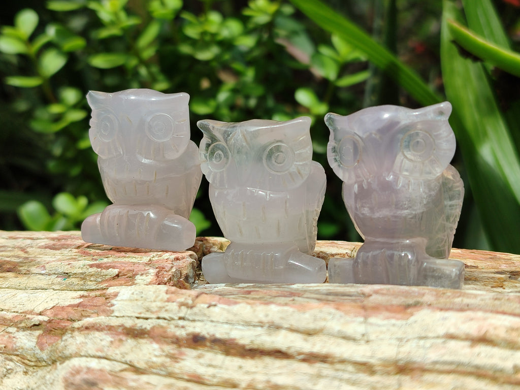 Polished Mini Rainbow Fluorite Owl Carvings - sold per item - From Uis, Namibia - Toprock Gemstones and Minerals 