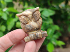 Polished Small Namibian Desert Picture Stone Jasper Owl Carving - sold per item - From Namibia - Toprock Gemstones and Minerals 