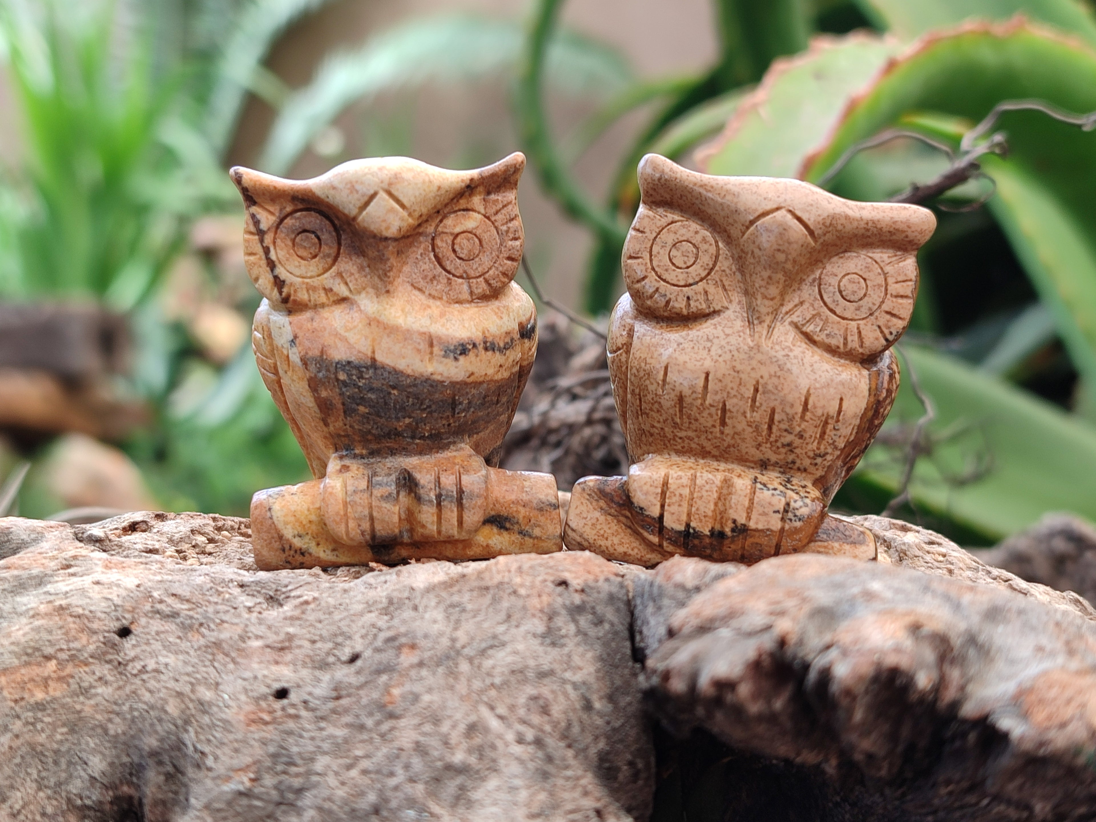 Polished Small Namibian Desert Picture Stone Jasper Owl Carving - sold per item - From Namibia - Toprock Gemstones and Minerals 