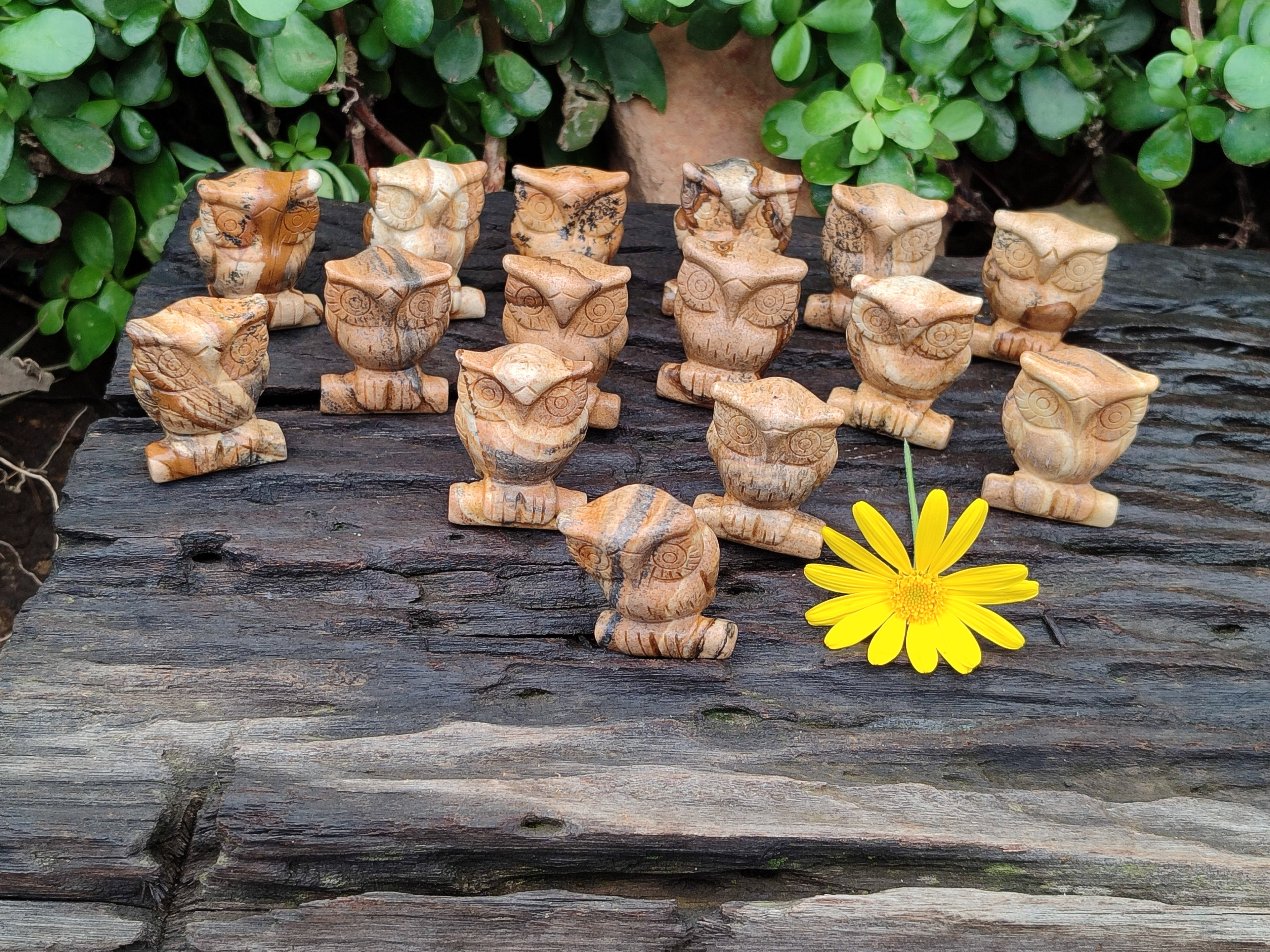 Polished Small Namibian Desert Picture Stone Jasper Owl Carving - sold per item - From Namibia - Toprock Gemstones and Minerals 