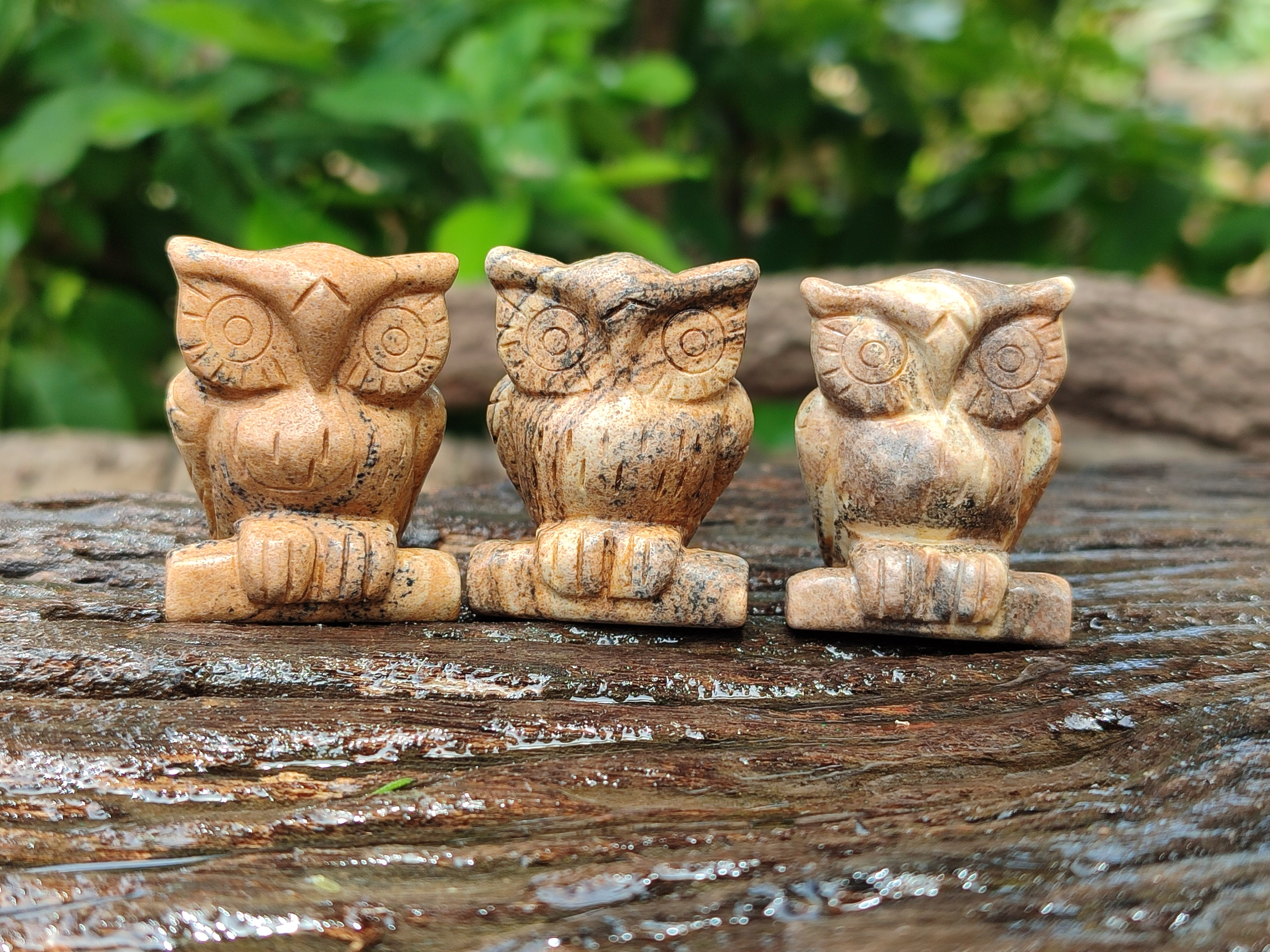Polished Small Namibian Desert Picture Stone Jasper Owl Carving - sold per item - From Namibia - Toprock Gemstones and Minerals 