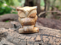 Polished Small Namibian Desert Picture Stone Jasper Owl Carving - sold per item - From Namibia - Toprock Gemstones and Minerals 
