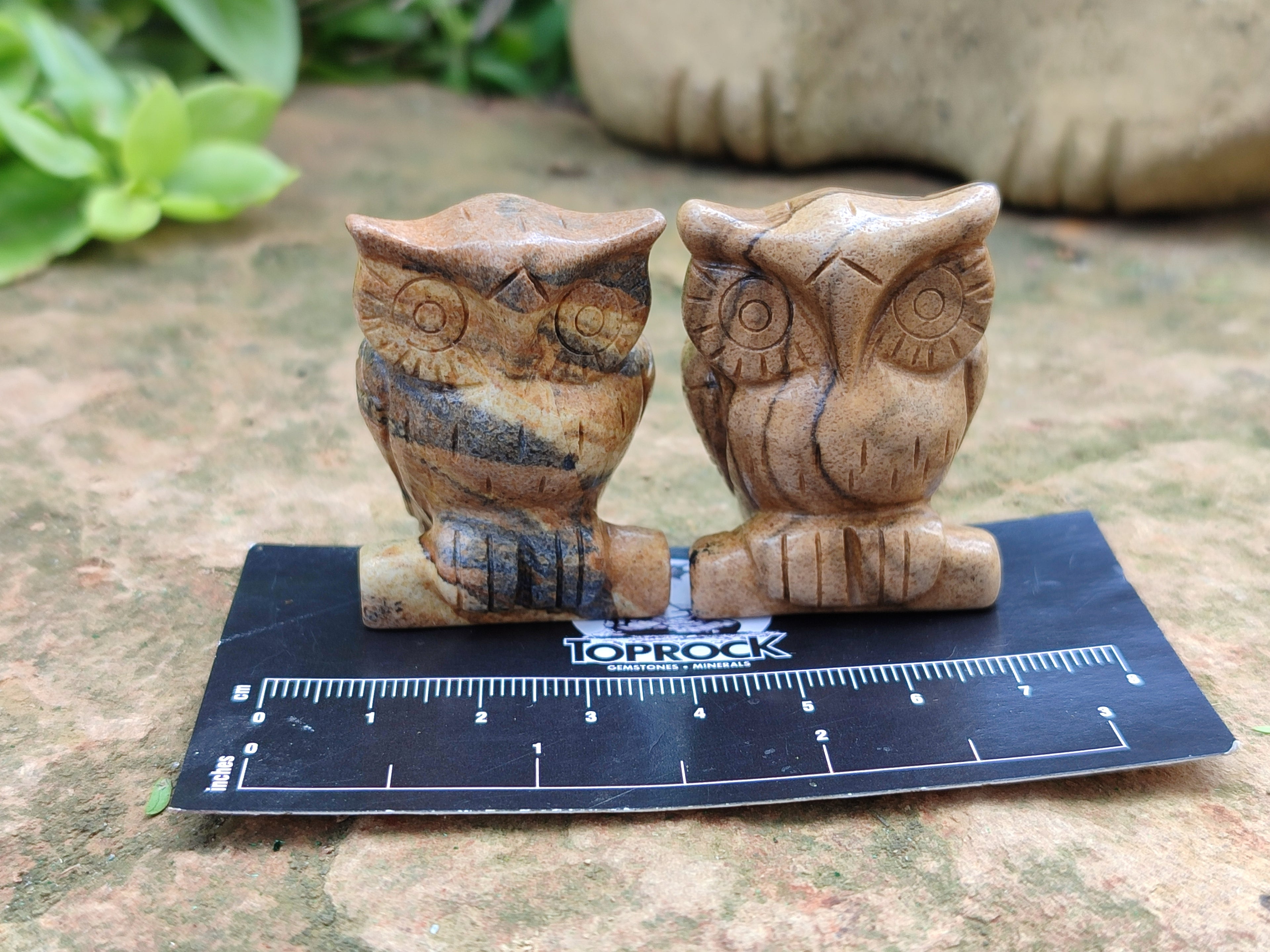 Polished Small Namibian Desert Picture Stone Jasper Owl Carving - sold per item - From Namibia - Toprock Gemstones and Minerals 