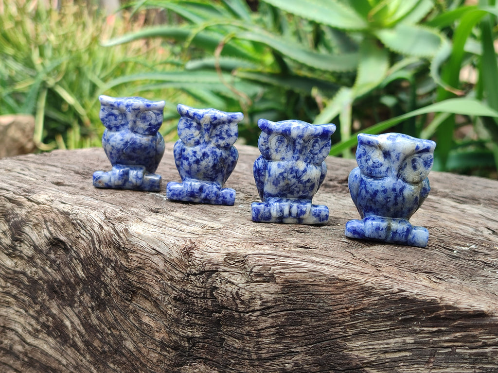 Polished Sodalite Owl Carvings - sold per item - From Namibia - Toprock Gemstones and Minerals 
