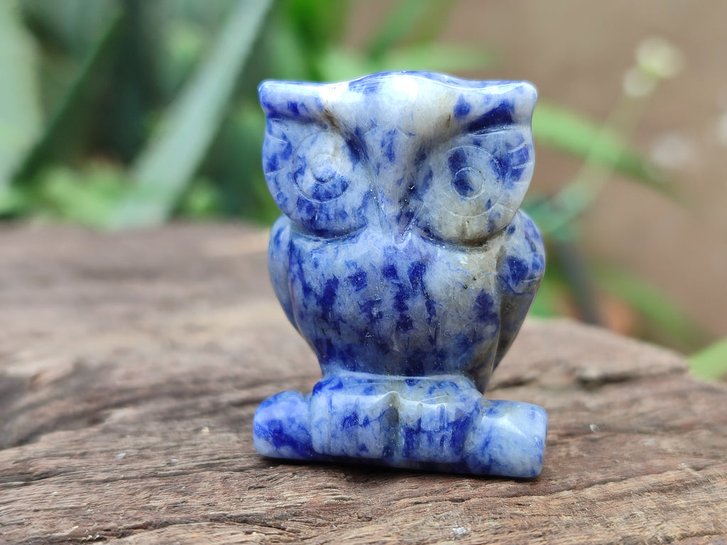 Polished Sodalite Owl Carvings - sold per item - From Namibia - Toprock Gemstones and Minerals 