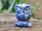 Polished Sodalite Owl Carvings - sold per item - From Namibia - Toprock Gemstones and Minerals 