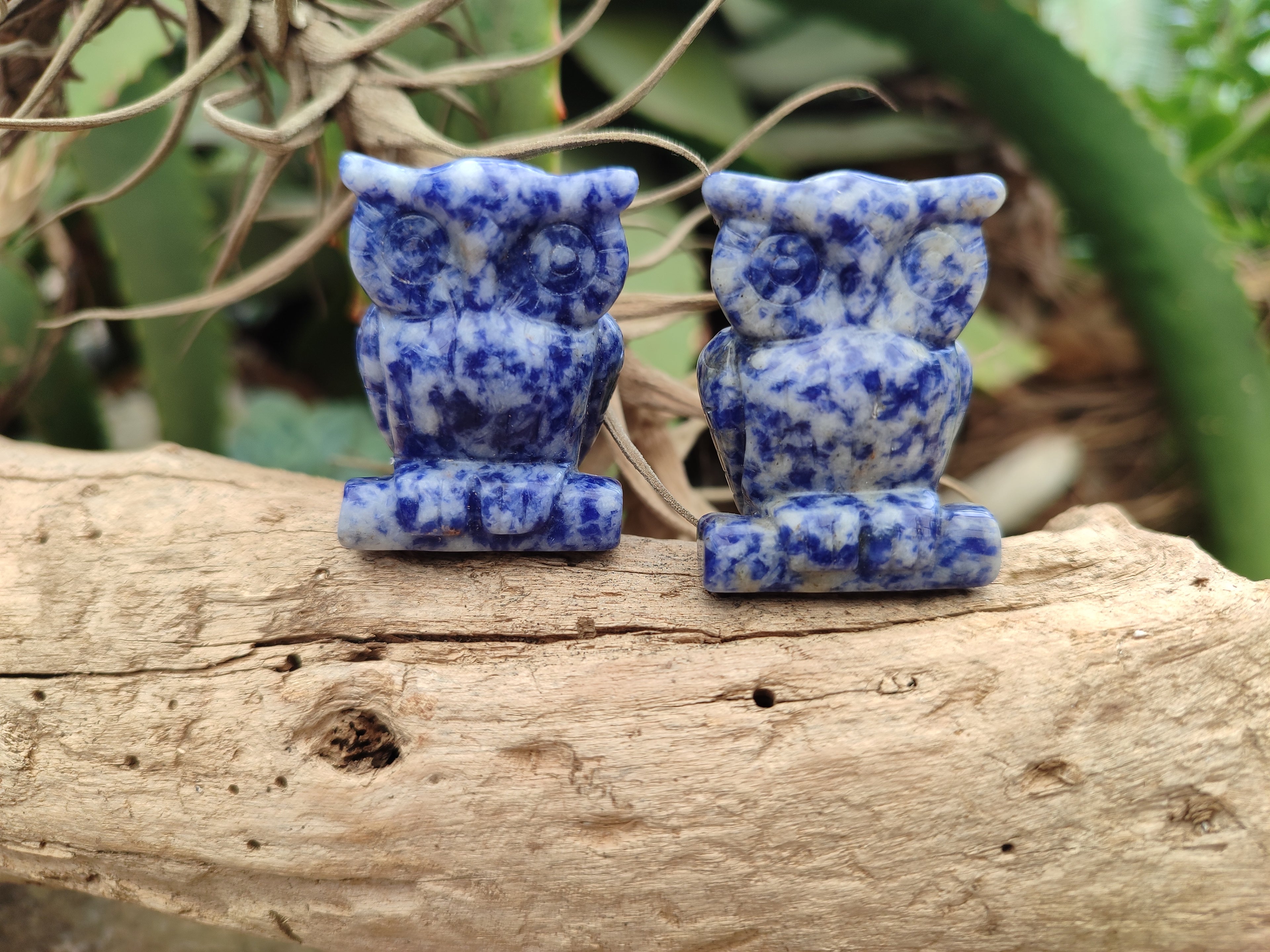 Polished Sodalite Owl Carvings - sold per item - From Namibia - Toprock Gemstones and Minerals 