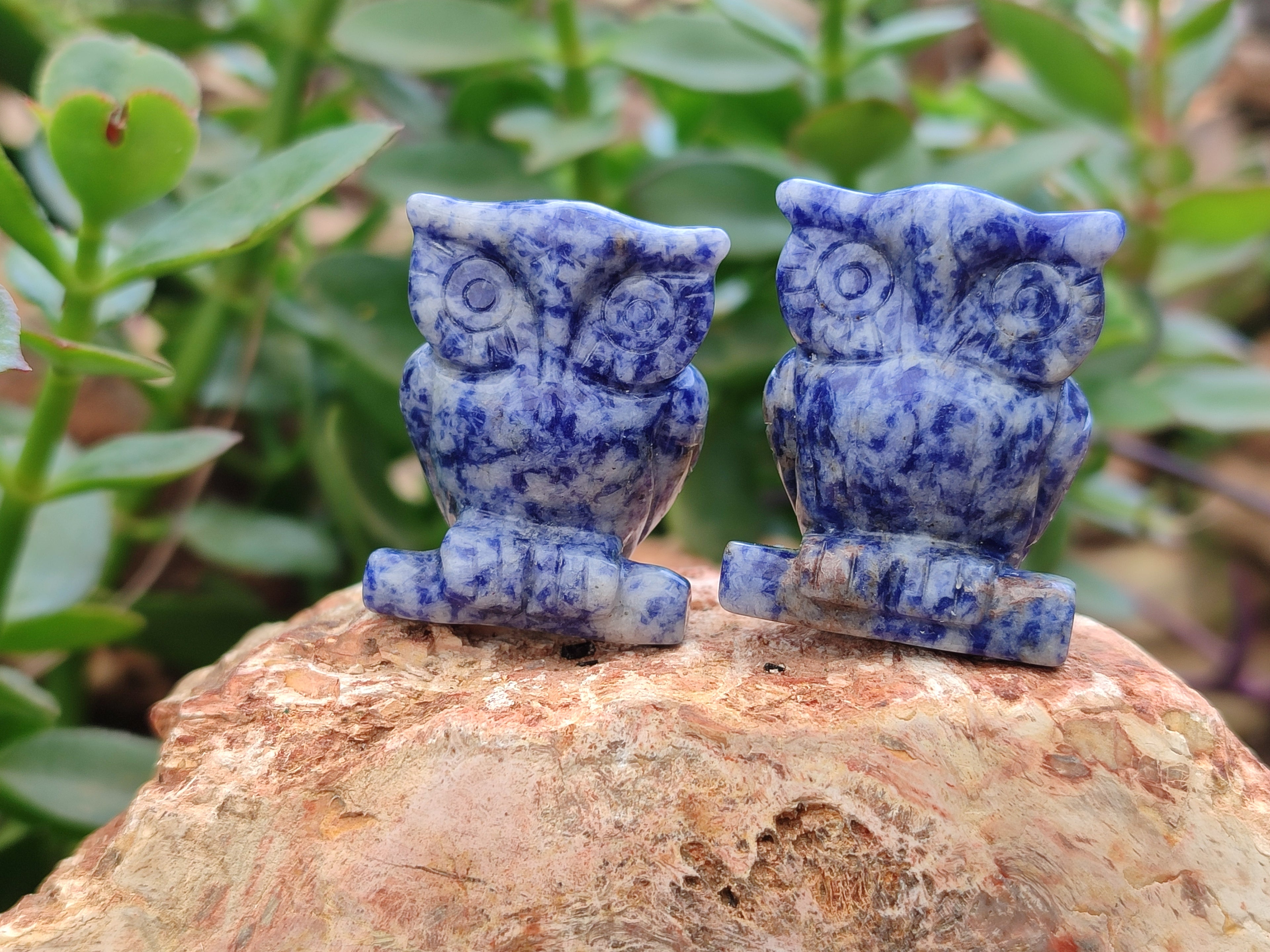 Polished Sodalite Owl Carvings - sold per item - From Namibia - Toprock Gemstones and Minerals 
