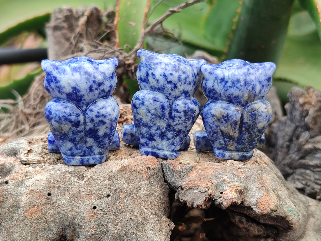 Polished Sodalite Owl Carvings - sold per item - From Namibia - Toprock Gemstones and Minerals 