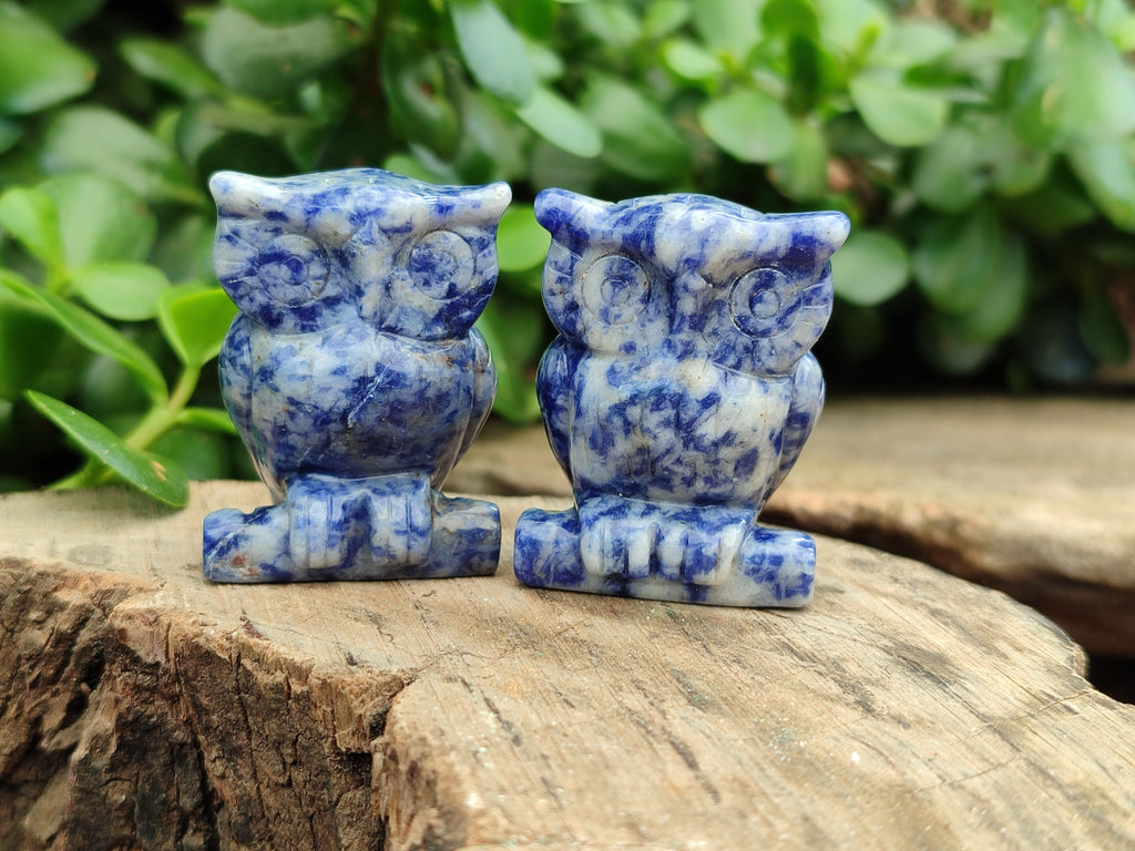 Polished Sodalite Owl Carvings - sold per item - From Namibia - Toprock Gemstones and Minerals 