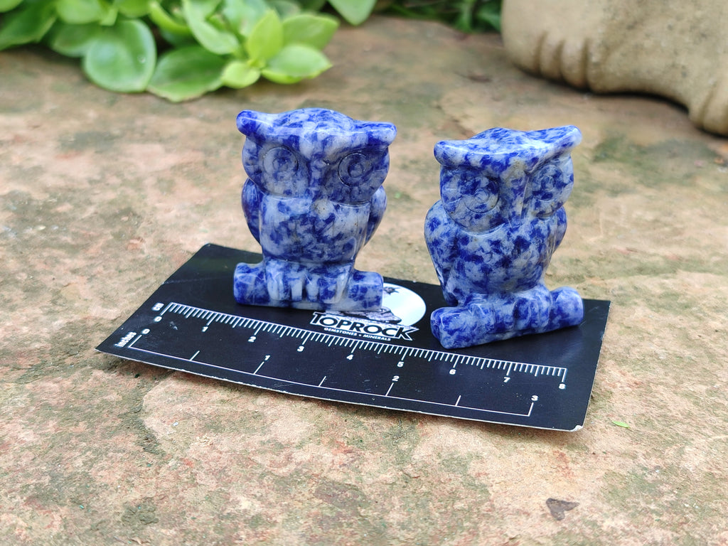 Polished Sodalite Owl Carvings - sold per item - From Namibia - Toprock Gemstones and Minerals 