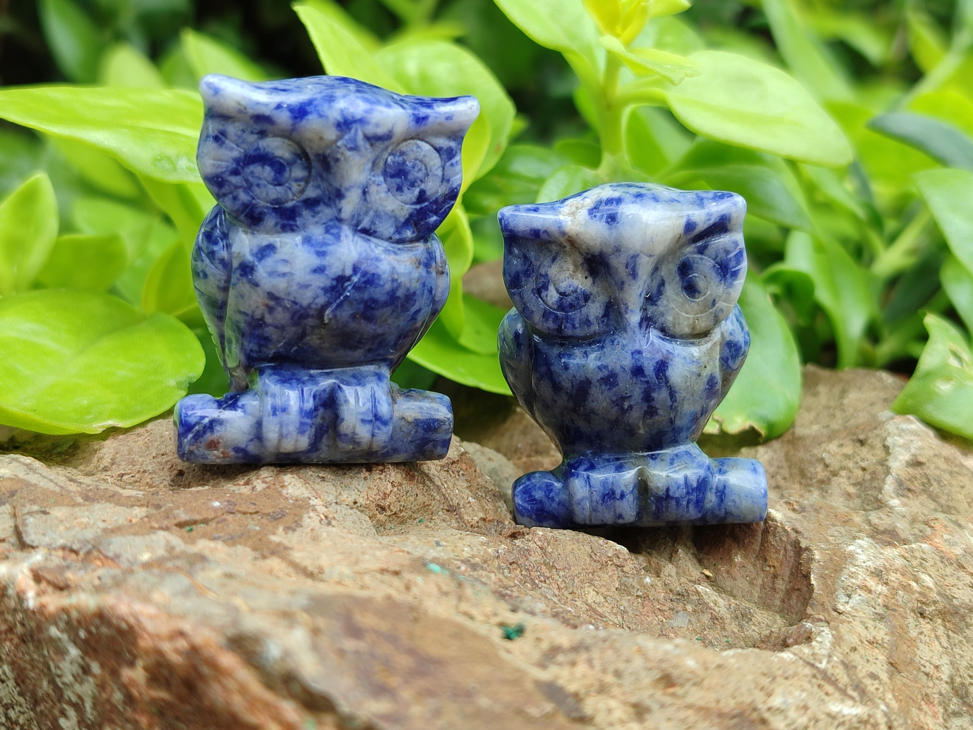 Polished Sodalite Owl Carvings - sold per item - From Namibia - Toprock Gemstones and Minerals 