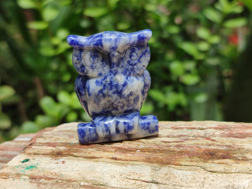 Polished Sodalite Owl Carvings - sold per item - From Namibia - Toprock Gemstones and Minerals 