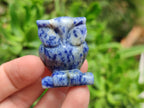 Polished Sodalite Owl Carvings - sold per item - From Namibia - Toprock Gemstones and Minerals 