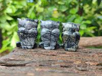 Polished Banded Jasper Owl Carvings - sold per item - From Australia