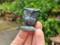 Polished Banded Jasper Owl Carvings - sold per item - From Australia