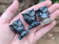Polished Banded Jasper Owl Carvings - sold per item - From Australia
