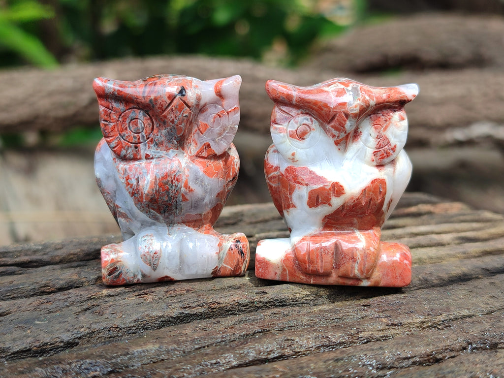 Polished Small Brecciated Jasper Owl Carving - sold per item - From South Africa - Toprock Gemstones and Minerals 
